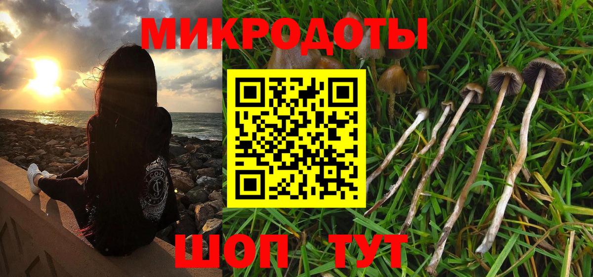Арсеньев  Псилоцибиновые грибы Cubensis  Вход с VPN 